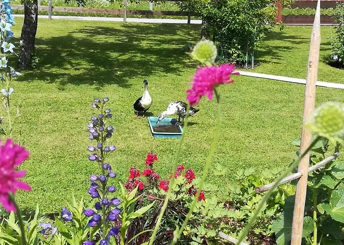 Haus Heiserer 아파트