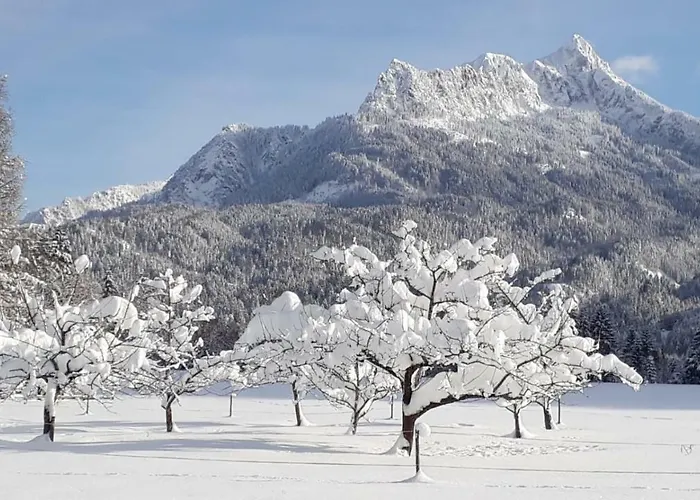 Haus Heiserer 아파트