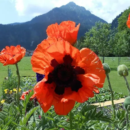 Appartement Haus Heiserer Musau