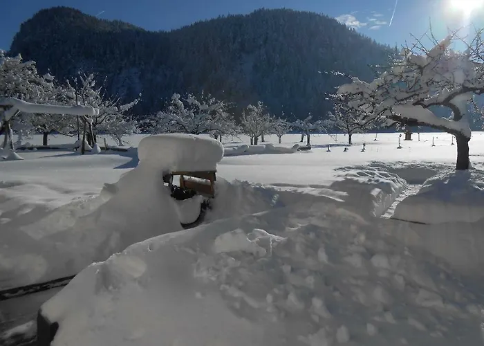 アパート Haus Heiserer *