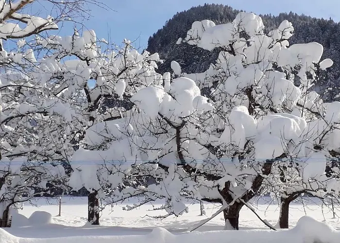 アパート Haus Heiserer