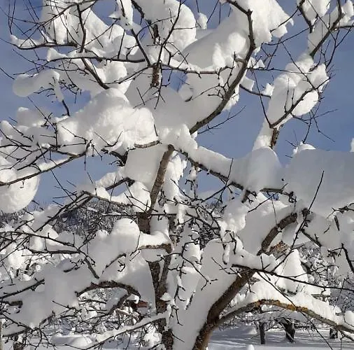 Haus Heiserer アパート *