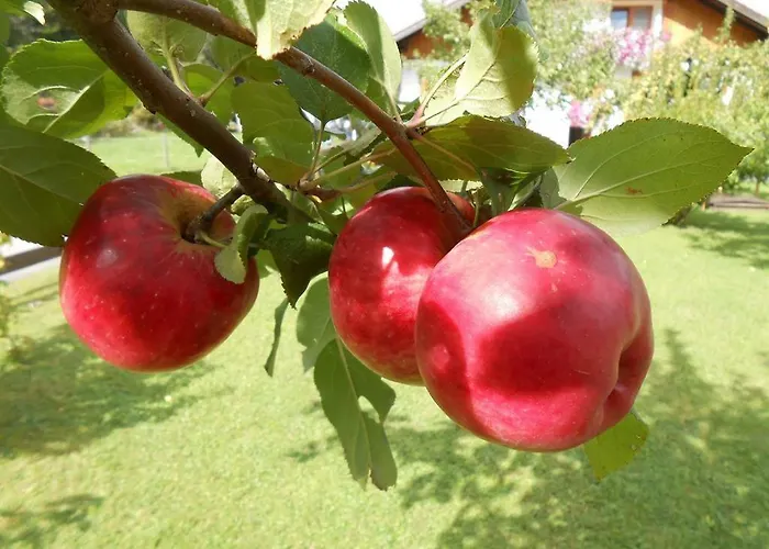 Haus Heiserer Διαμέρισμα